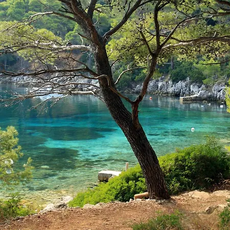 Apartamento By The Sea Ubli, - 24676 Lastovo